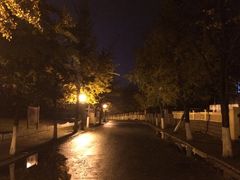 -八大关景区