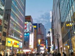 -秋叶原电器街