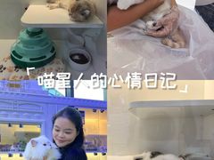-小猫来了·猫舍(红山六九七九店)