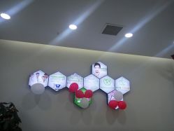 -莱可美科技美肤