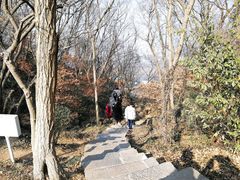 -南京市江宁方山
