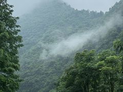 -重庆神龙峡漂流
