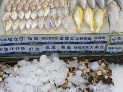 -新海利海鲜城·41年珠海老字号(夏湾店)