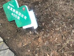 -雨花胜境