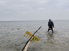 -北海金海湾红树林生态旅游区