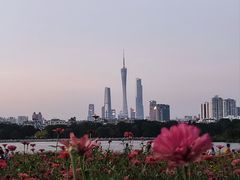 -海珠湖公园
