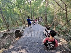 -紫金山山顶公园