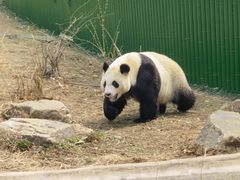 -沈阳森林动物园