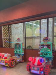 -卡通尼·Safari非洲探索乐园·生日会(金桥国际商业广场店)