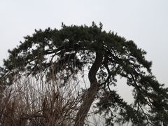 -终南山南五台景区