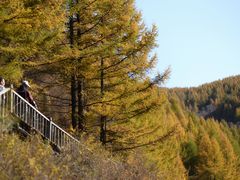 -苏木山森林公园