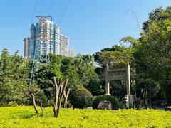 -晓港公园