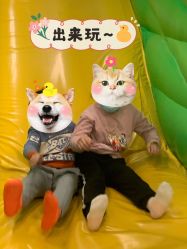 -莫莉幻想儿童乐园(武汉经开永旺店)