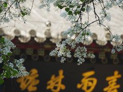 -北海公园