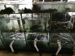-罗源湾8号渔排