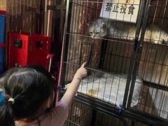 -艺味深尝(云锦路店)