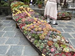-苍山感通索道