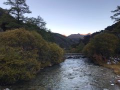 -稻城亚丁景区-冲古草甸