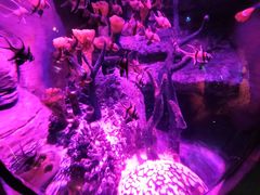 -沈阳海洋探索中心