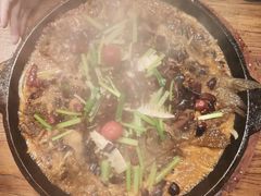 -老板恋上鱼(恒隆广场店)