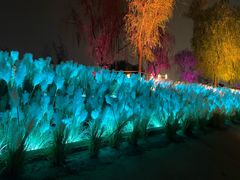 -咸阳湖景区