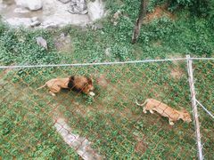 -石家庄市动物园