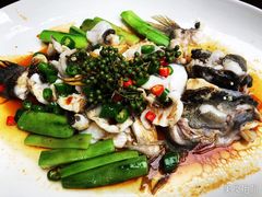 -猪肉婆私房菜(容桂总店)