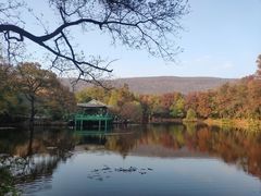 -灵谷景区