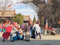 -大槐树寻根祭祖园