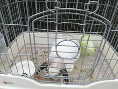 -烤五行·烧烤烤串(石佛营店)