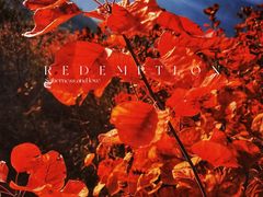 -周口店坡峰岭风景区