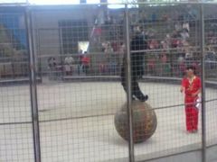 -石家庄市动物园