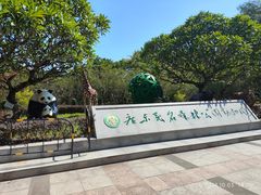 -广东茂名森林公园