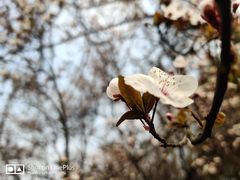 -昆山城市生态森林公园