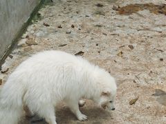 -青峰峡国家森林公园