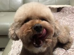 -北京恒爱动物医院(清景园分院)