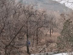 -北京鹫峰国家森林公园