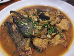 -全乐鱼馆·淳牌有机鱼直营店