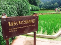 -韶山毛泽东同志故居