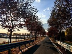 -莲花岛景区