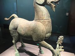 -广西壮族自治区博物馆