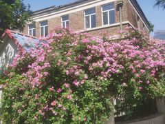 -天津五大道文化旅游区