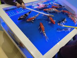 -meland亲子乐园•派对•研学(苏州悠方购物中心店)