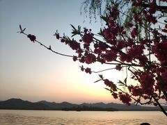 -柳莺湖上·湖景餐厅·江南菜(西湖店)