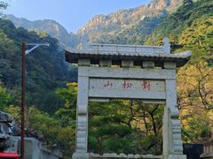 -老山东·山东菜(鲁菜名店)