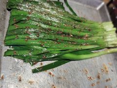 -很久以前羊肉串(清河店)