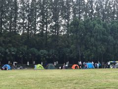 -黄海国家森林公园