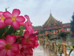 -西双版纳勐泐文化旅游区