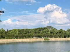 -羊山湖公园