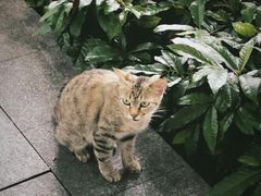 -荔湾湖公园